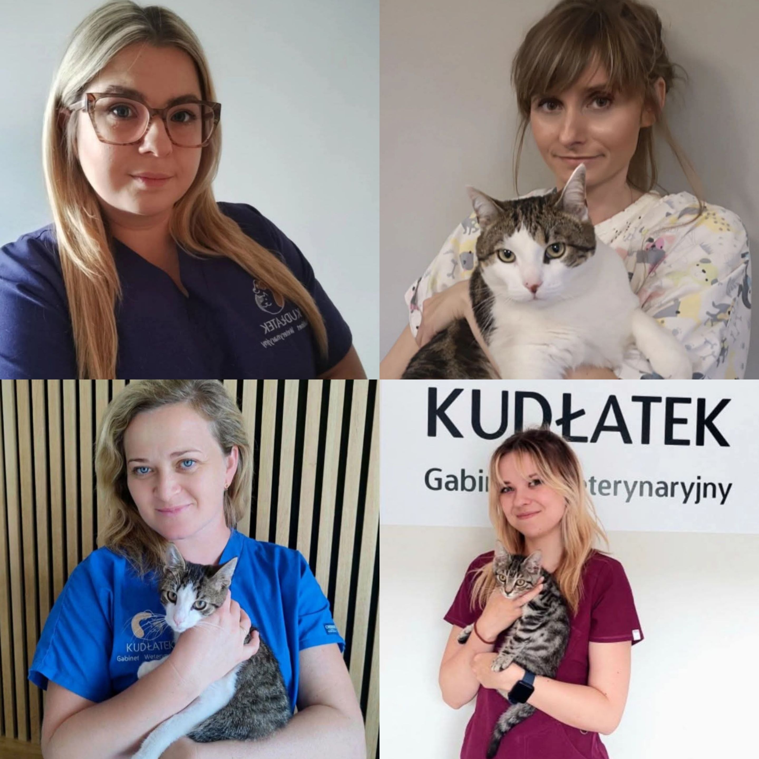 Lekarz  Weterynarii 2